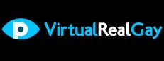 Virtual Real Gay Logo